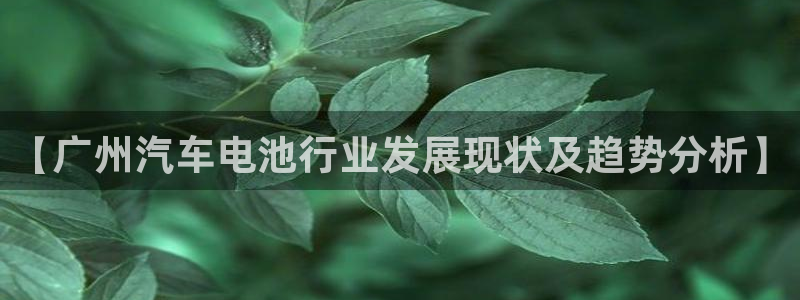 优发国际集团股份有限公司是国企吗