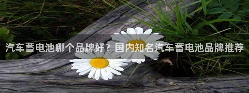 优发国际顶级