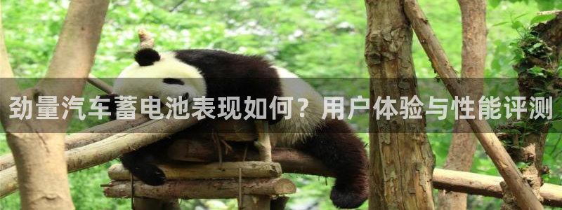 优发国际手机版网站