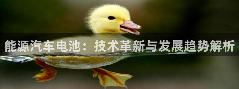 优发国际下载