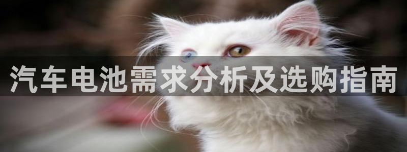 优发国际官方网平台电话