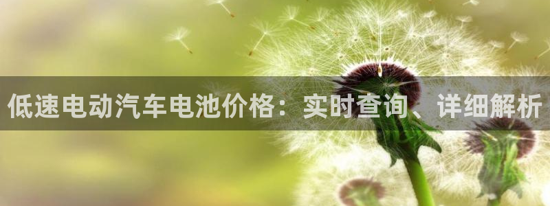 优发国际官网手机版代理