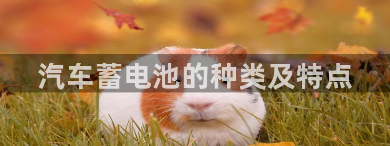 优发国际手机客户端下载