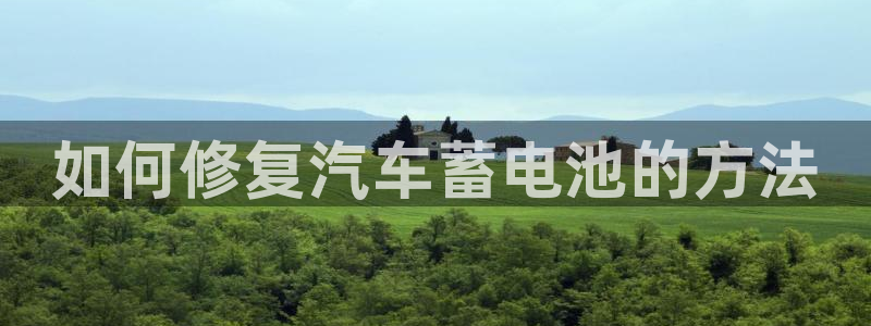 优发国际是大平台吗还是小平