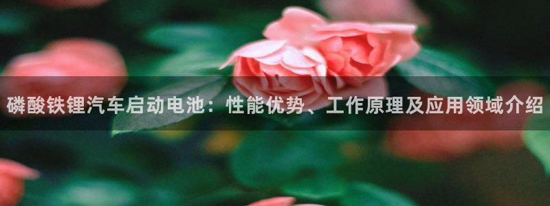 优发国际提现不了