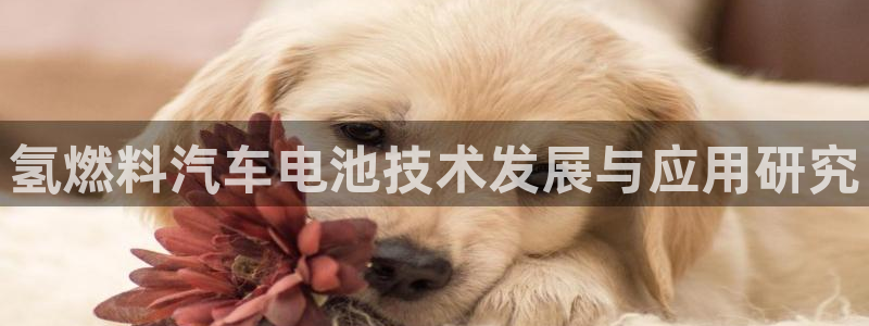 优发国际手机app下载安装官网