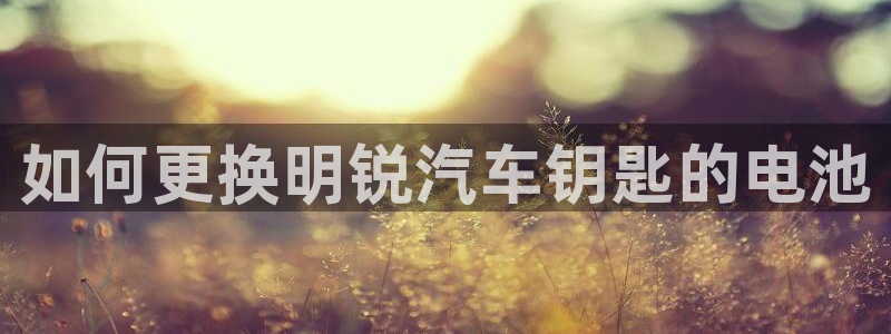 优发国际官网手机版下载