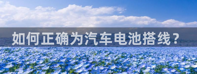 优发国际youfa966
