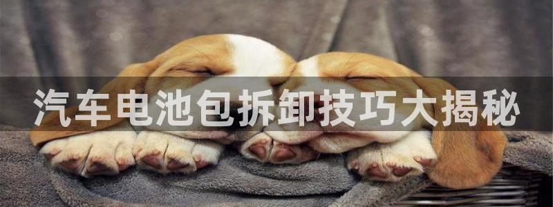 优发国际最新网站下载