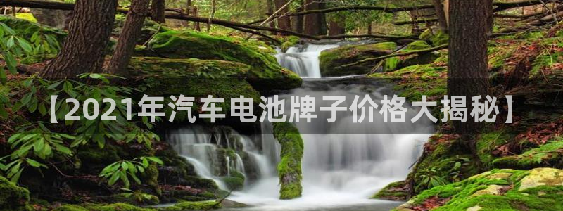 优发国际安卓版下载安装最新版