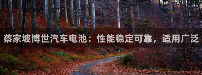 优发国际游戏17岁能玩吗