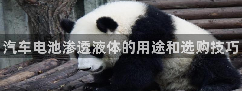 优发国际这个平台怎么样知乎