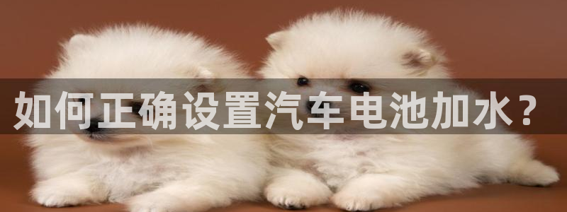 优发国际游戏