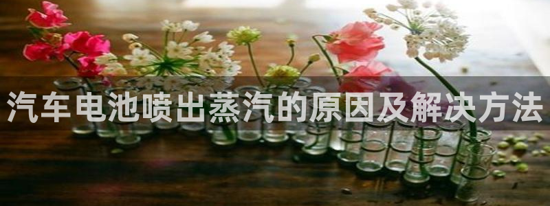 优发国际网站多少
