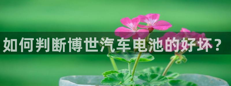 优发国际游戏官方网站入口