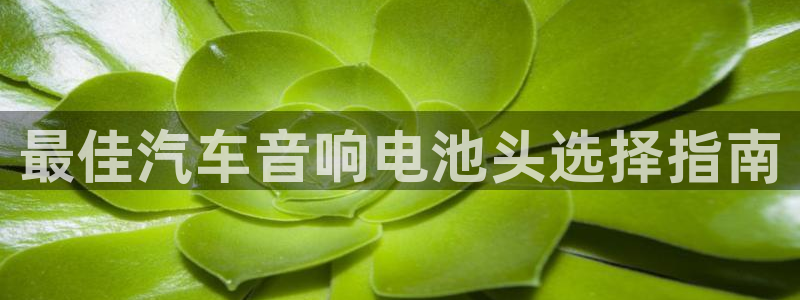 优发国际平台网站