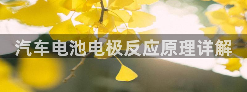 优发国际游戏17