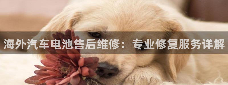 优发国际网官网址是多少
