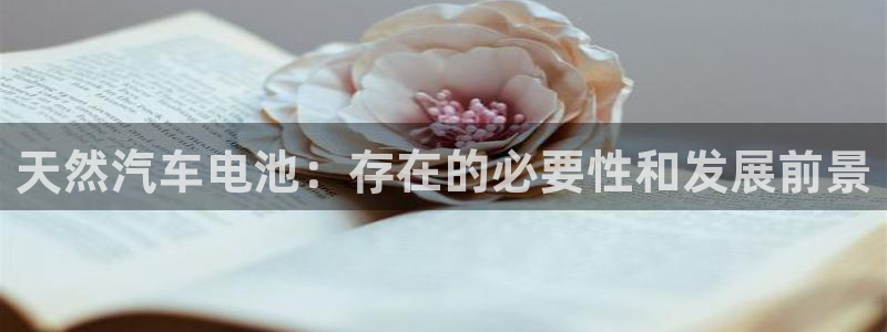 优发国际网站官网