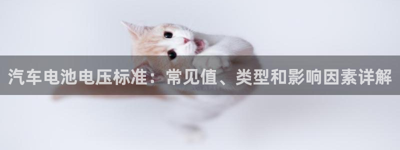 优发娱乐pc版官网