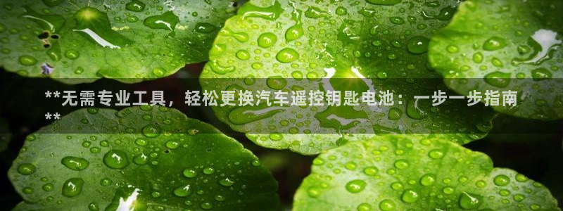 优发国际官网qy88
