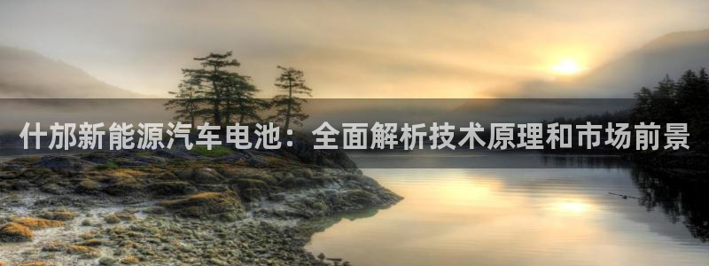优发国际平台u8是什么软件