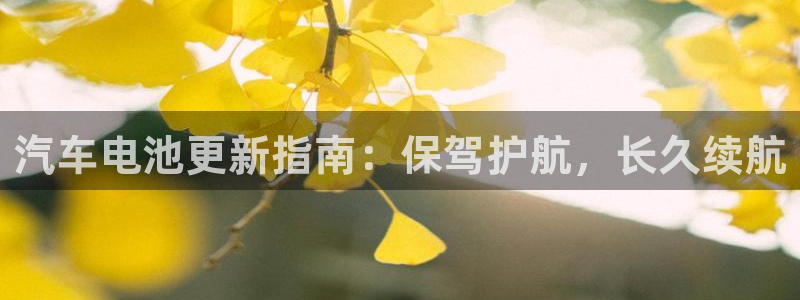 优发国际手机app下载安装