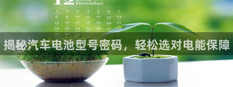 优发国际线上娱官网