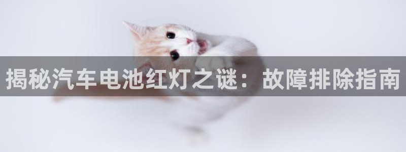 优发国际官网手