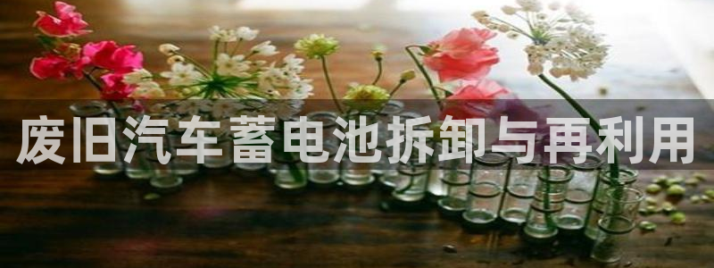 优发国际网官网17q8
