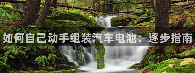 优发国际的官网是什么