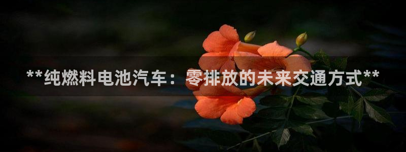 优发国际手机客户端下载官网