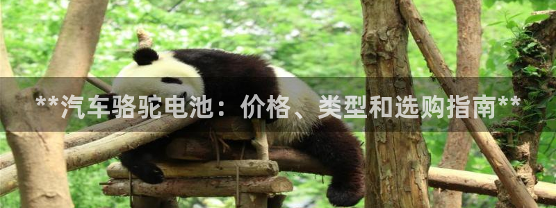 优发国际平台g8怎么样