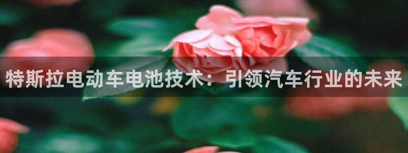 优发娱乐官网app下载