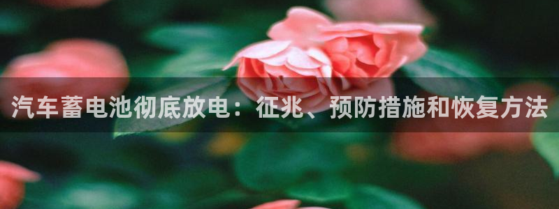 优发国际集团股份有限公司招聘