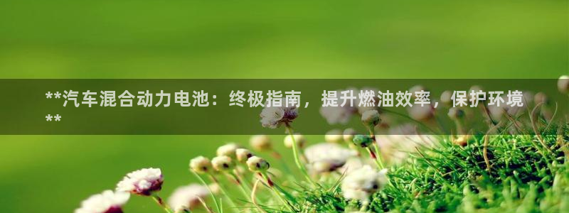 优发国际平台u8是什么公司