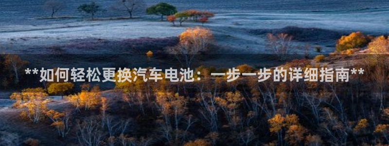 优发国际bob