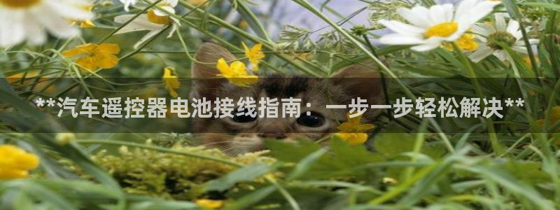 优发国际首页官网