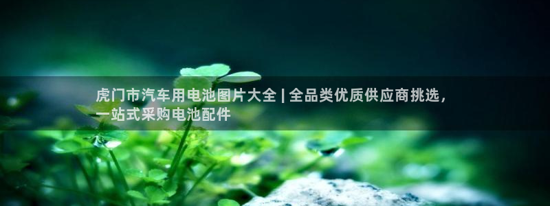优发国际官网下载安装