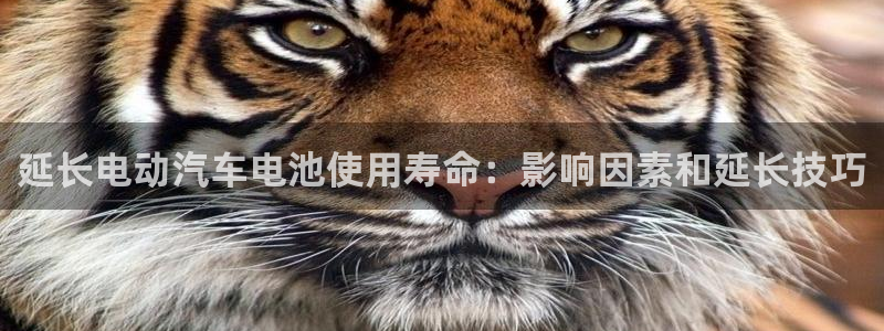 优发国际官网下载安装app