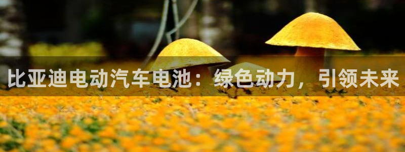 优发国际顶级
