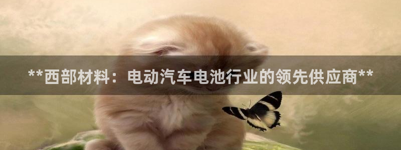 优发国际平台u8是什么