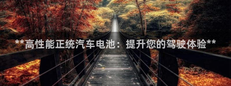 优发国际官网手