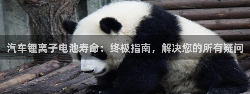 优发国际手机版下载官网