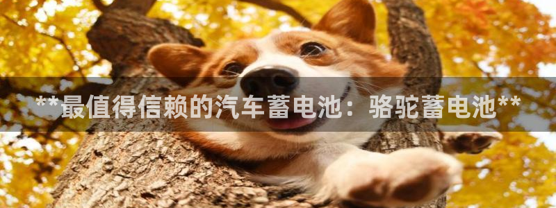 优发国际官网qy88