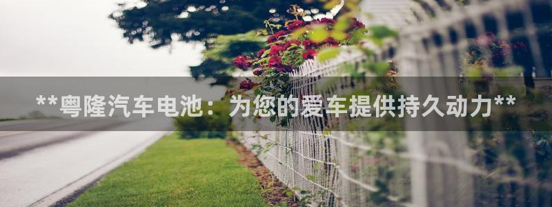 优发国际平台app下载官网