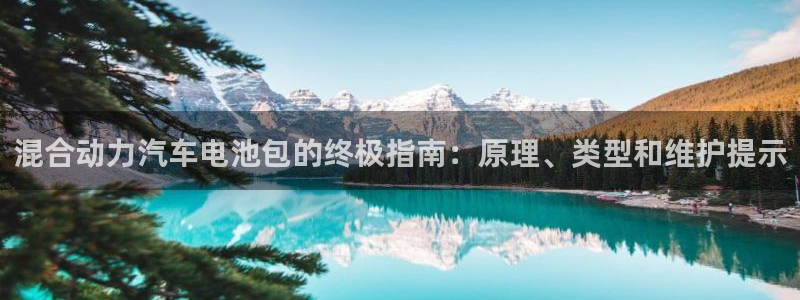 优发国际安卓版下载安装