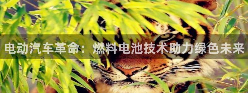 优发国际官网官方网址