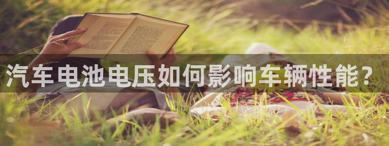 优发国际集团股份有限公司招聘