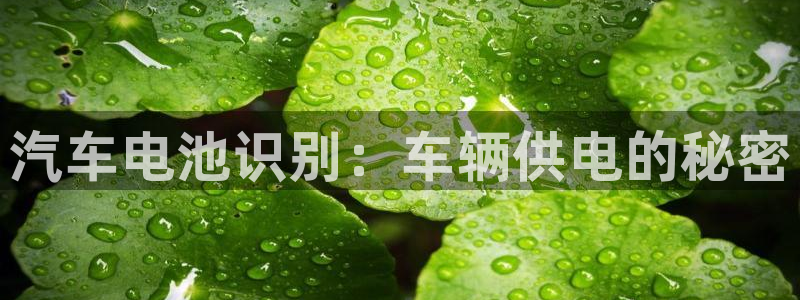 优发国际合并到哪里了最新消息